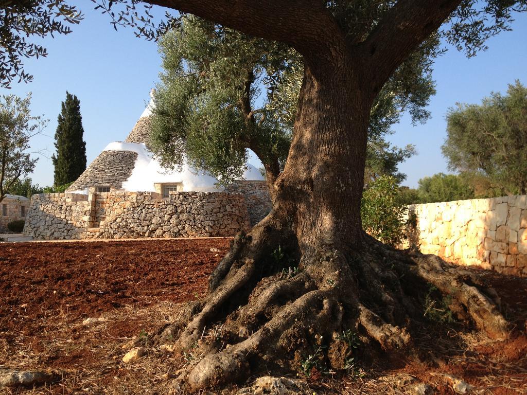 I Trulli Di Alice Vila Ceglie Messapica Exterior foto